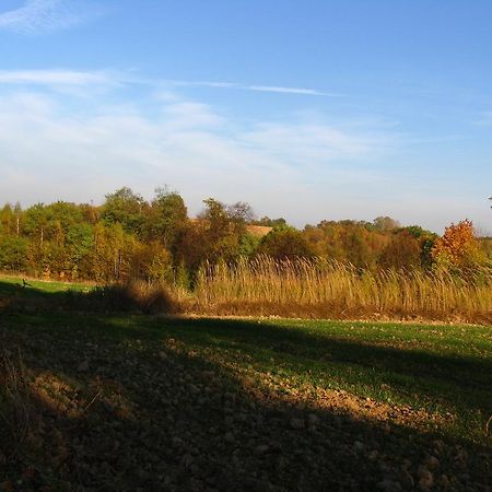 Agroturystyka Kalina Wielka Exterior foto