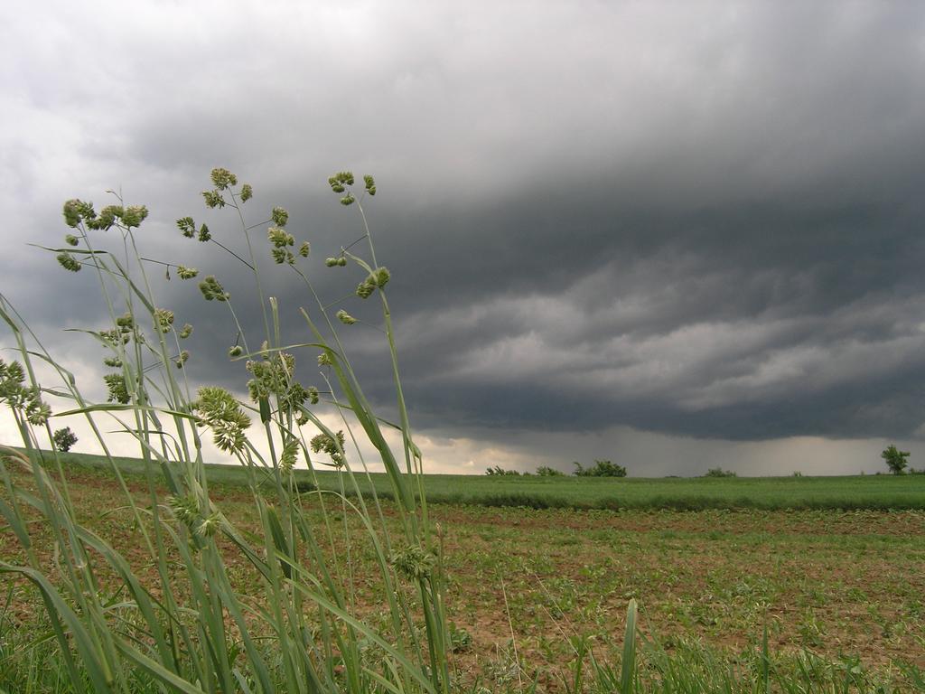 Agroturystyka Kalina Wielka Exterior foto