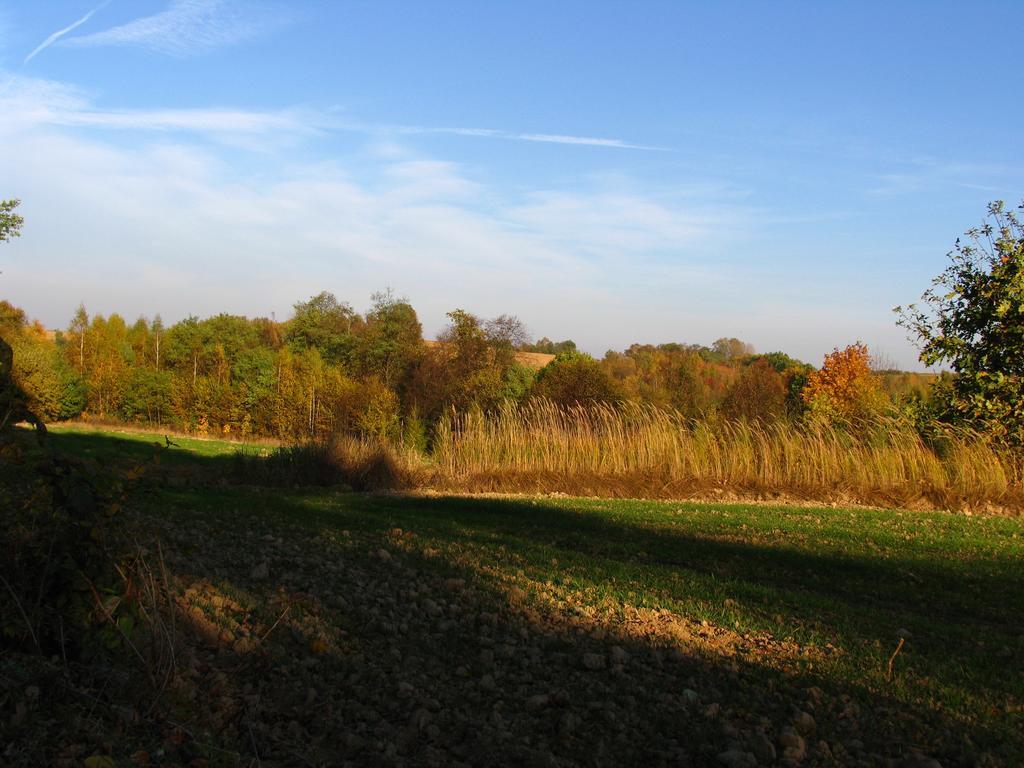 Agroturystyka Kalina Wielka Exterior foto