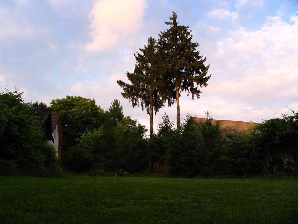 Agroturystyka Kalina Wielka Exterior foto
